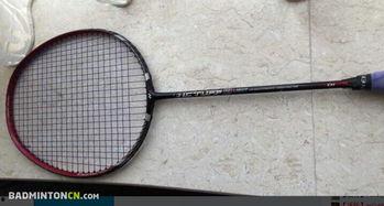 yy球拍最新爆料消息,革命性技术革新，引领运动装备新潮流